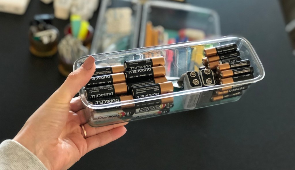 hand holding clear plastic organizer with various sizes of batteries