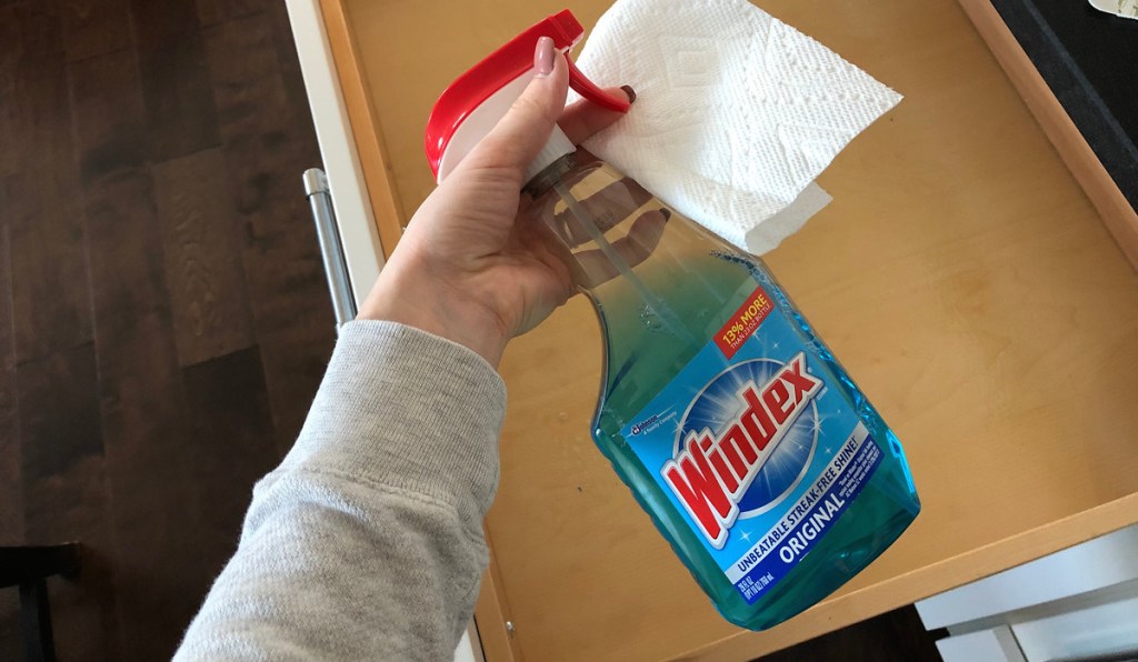 hand holding a bottle of windex and a paper towel