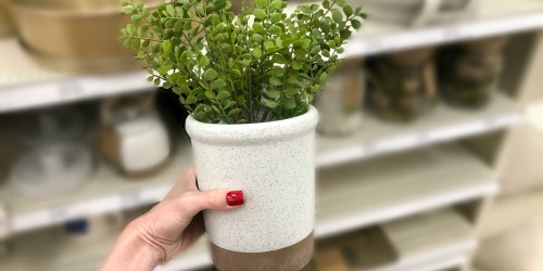 We’re Digging These Smith & Hawken Spring Vases and Planters at Target
