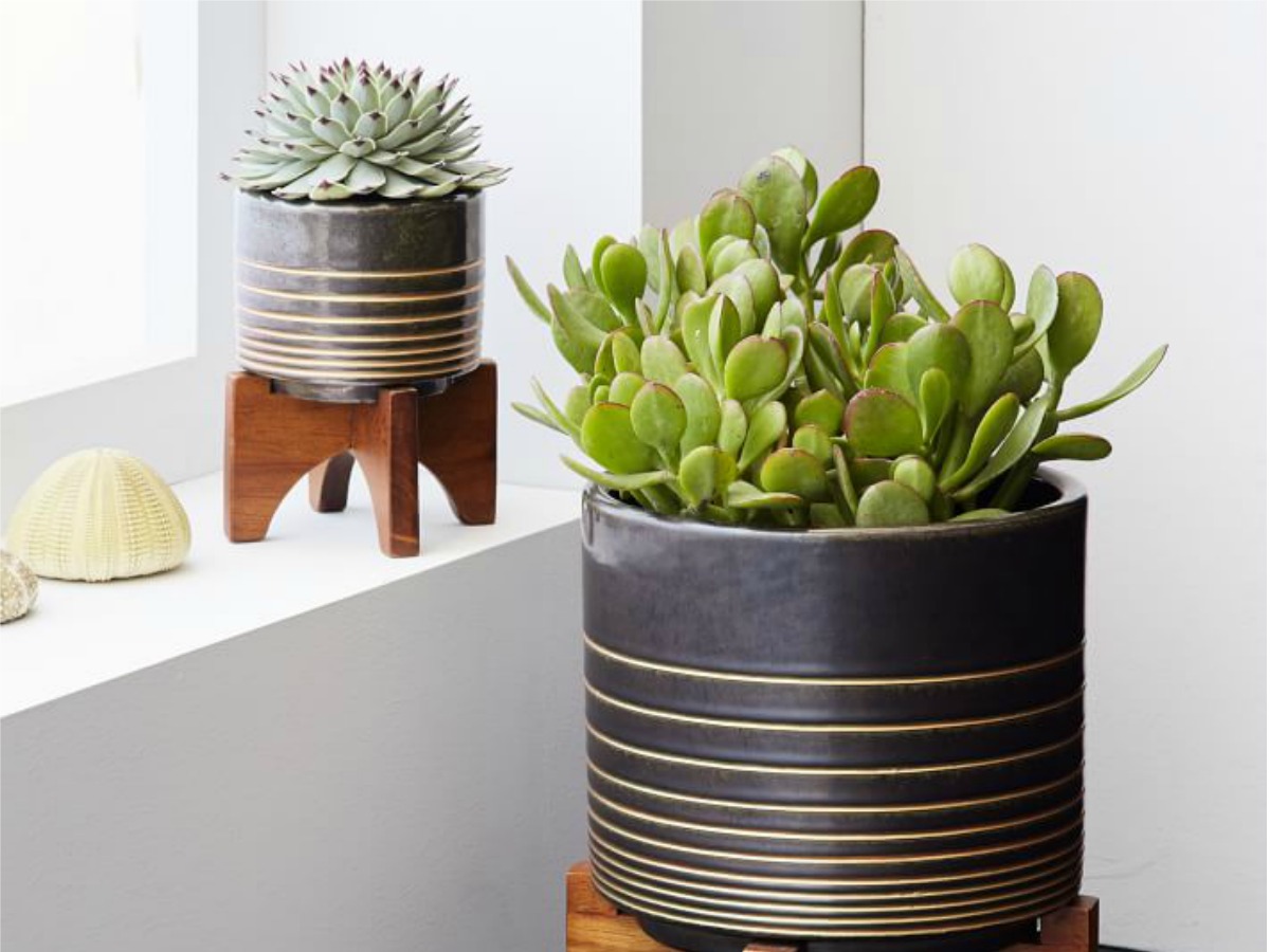 West Elm Planters 