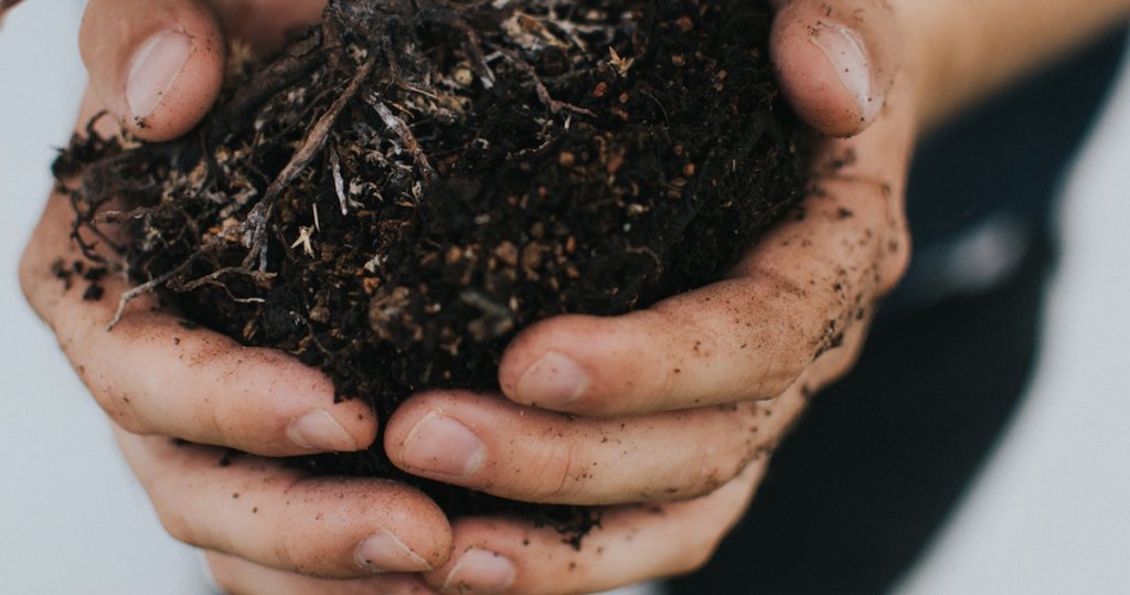 hands holding dark brown fertilizer soil
