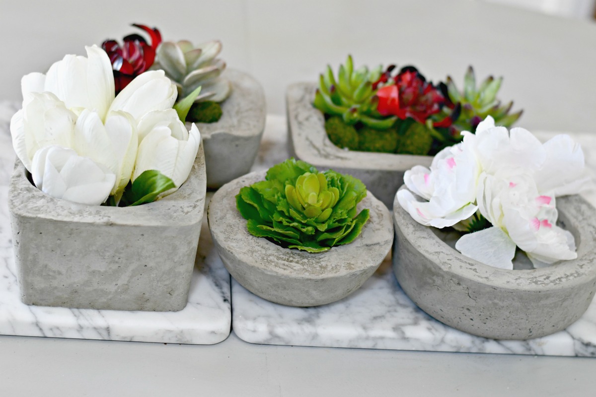concrete planters arranged on a tray with plants