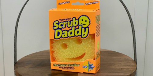 I Will NEVER Use a Regular Sponge Again Thanks to Scrub Daddy