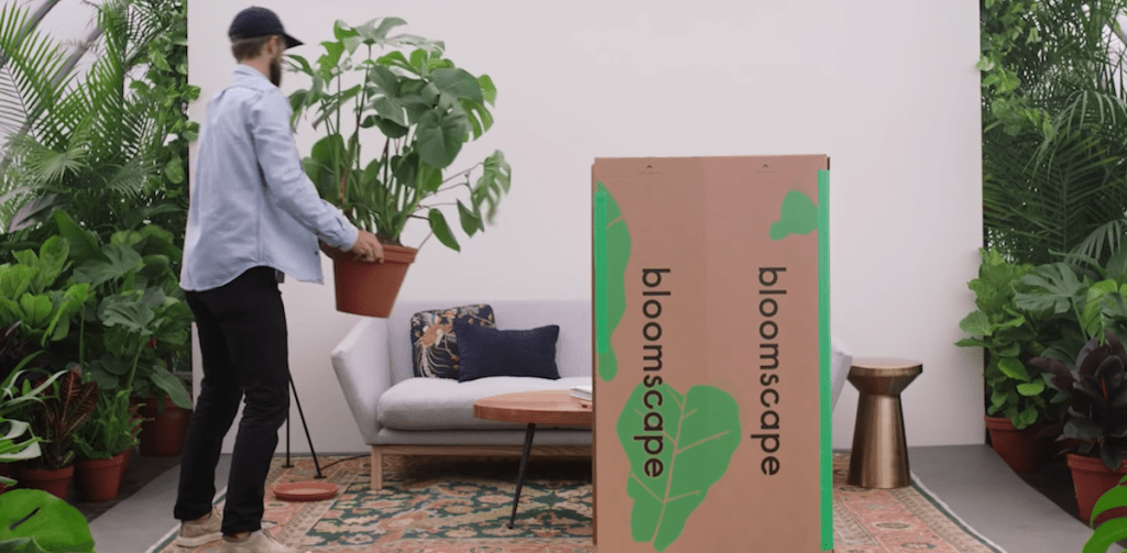 man with hat holding large plant in living room with open delivery bloomscape box
