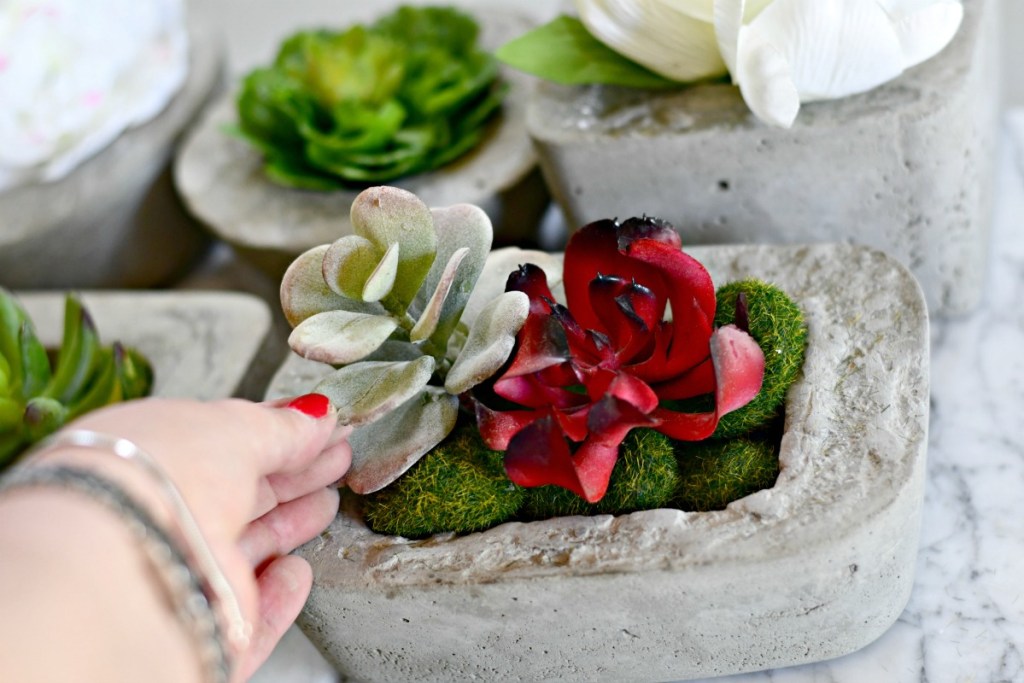 dollar tree moss rocks and succulents inside a DIY concrete planter 