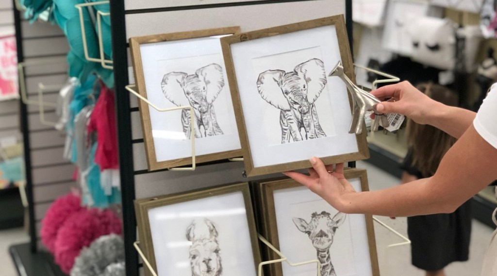 hand holding a framed elephant picture with other animal photos in the background