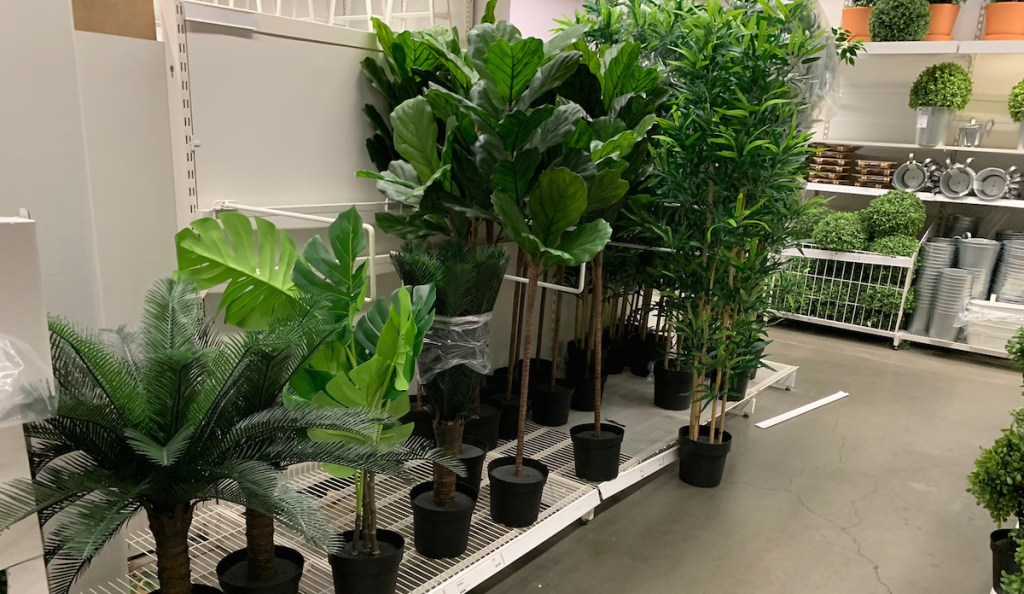 potted green plants in store aisle