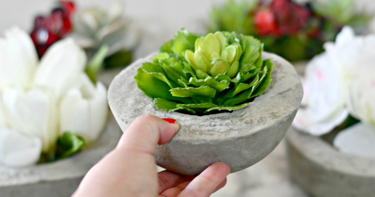 DIY concrete planter with a plant inside