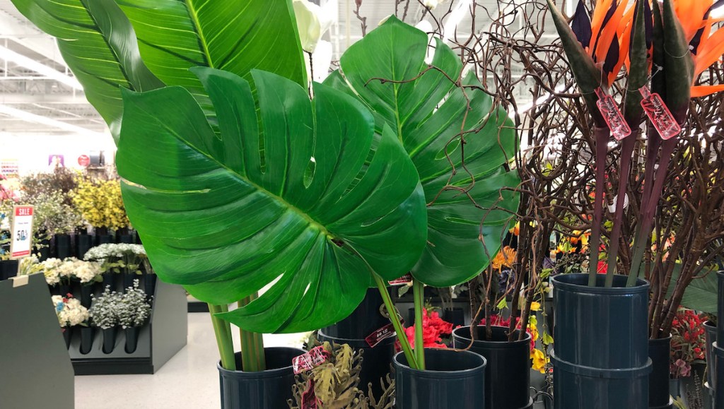 two green palm leaves sitting in a black tube in floral aisle in store