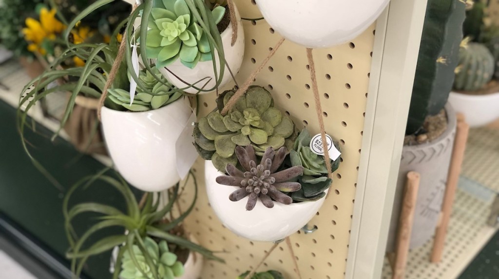 hanging succulents in white ceramic vase hanging on store peg board