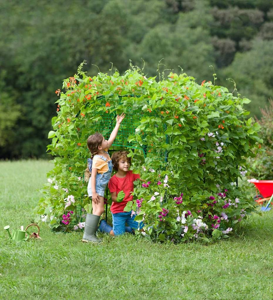 Kids playing in garden fort 