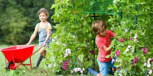 Kids Can Grow Their Own Backyard Garden Fort With This DIY Kit