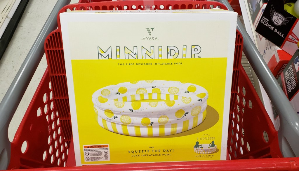 Lavaca minnidip lemon pool at Target