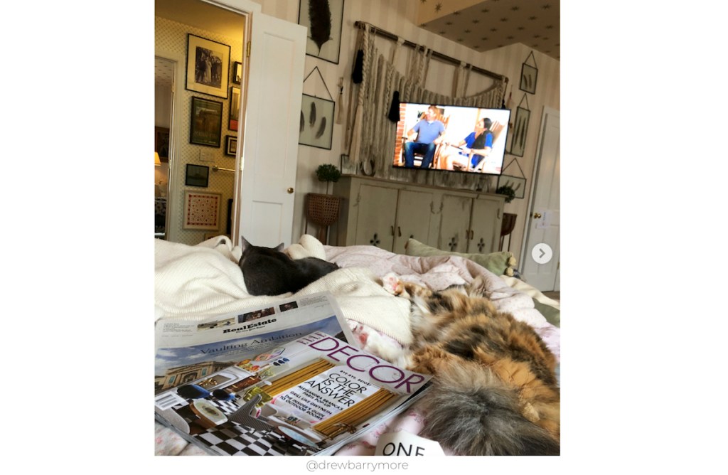 instagram photo of tv and console table with cats on bed and elle decor magazine