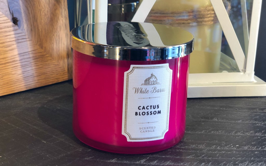 Bath & Body Works Cactus Blossom candle