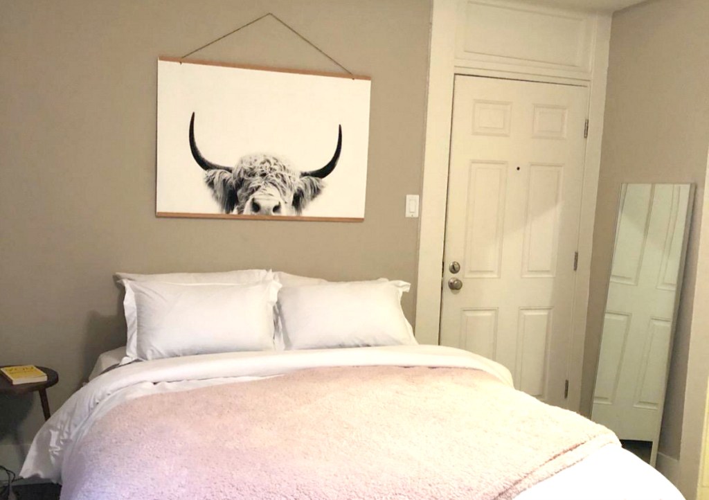 cow poster hanging on wall
