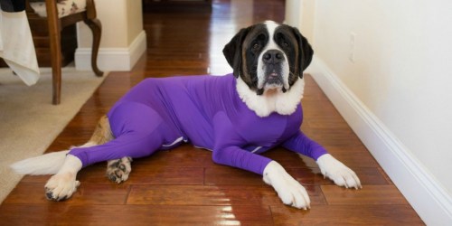 This Dog Onesie Lets You Take Your Dog Anywhere Without Leaving a Trail of Hair