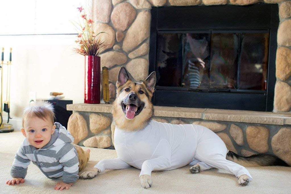 dog with white onesie sitting next to baby 