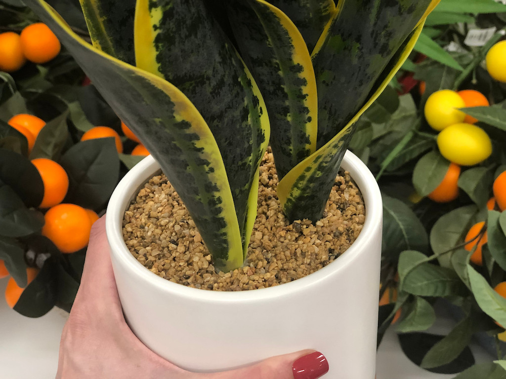 hlding faux snake plant in white 