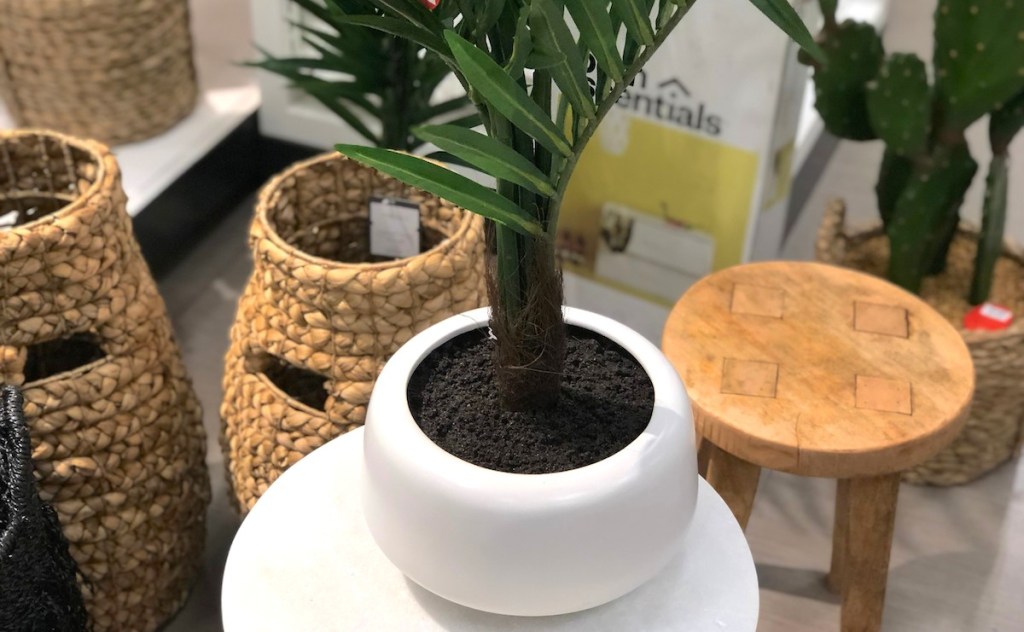 white planters pot with palm leaf stems