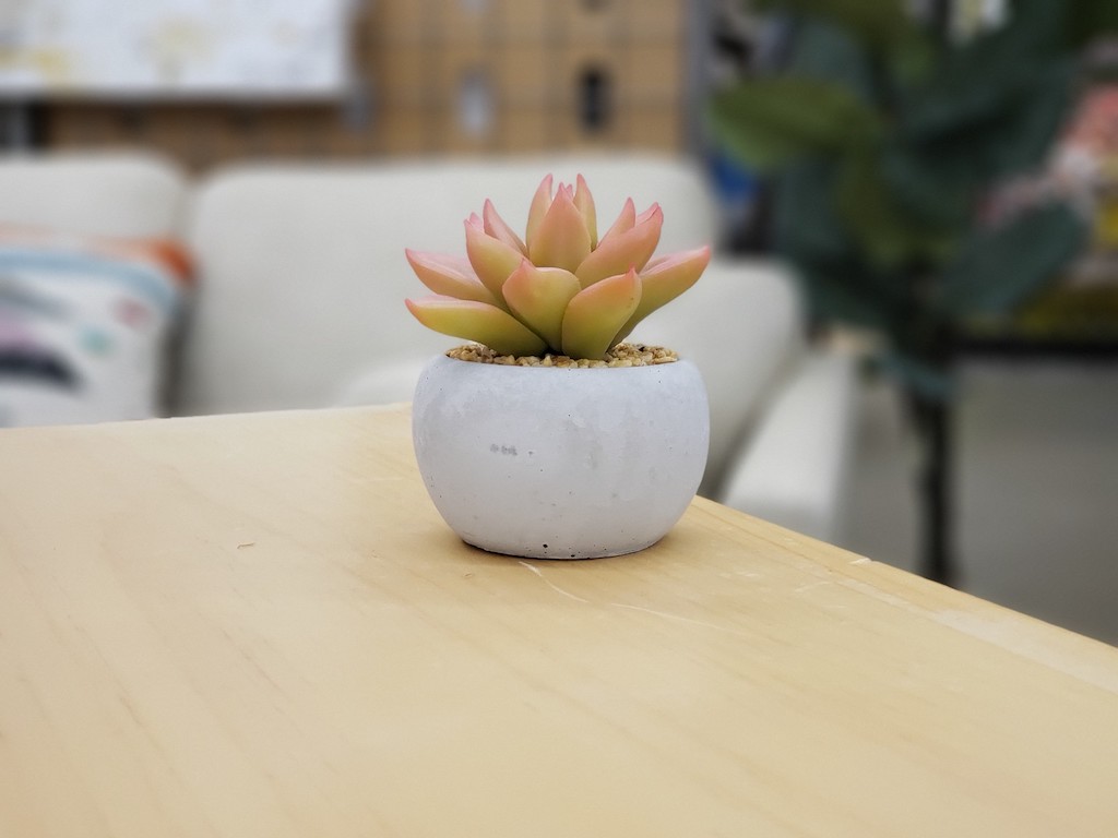 faux succulent on coffee table 