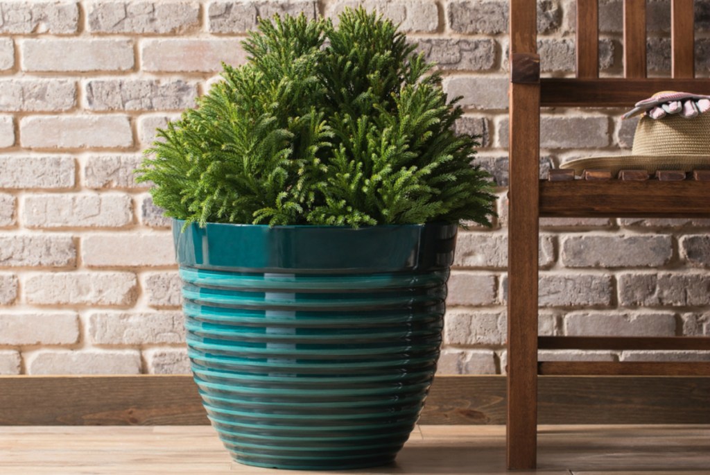 Allen + Roth 18x86-in W X 16x.3-in H Teal Resin Planter