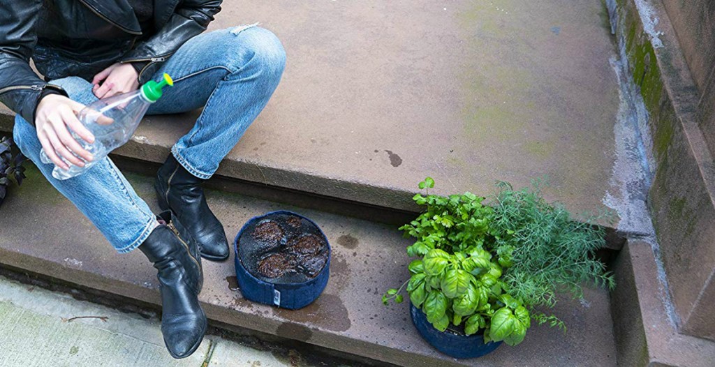 Seedsheet Gardening Kit before and after