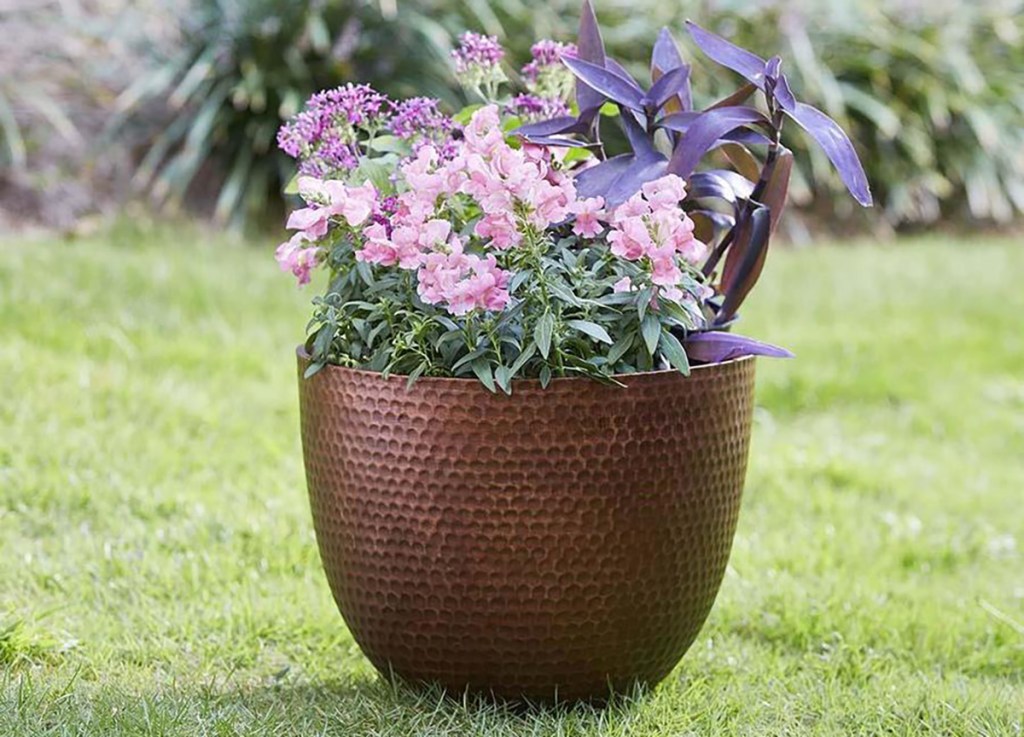 flowers in allen + roth copper planter