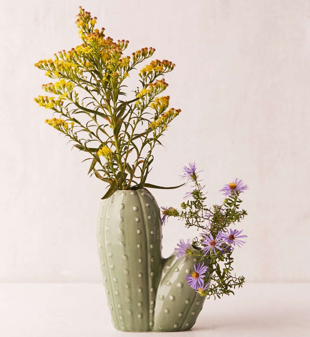 cactus flower planter from urban outfitters