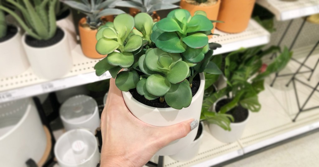 faux jade plant at target