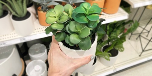 New Faux Potted Plants at Target (No Green Thumb Required)