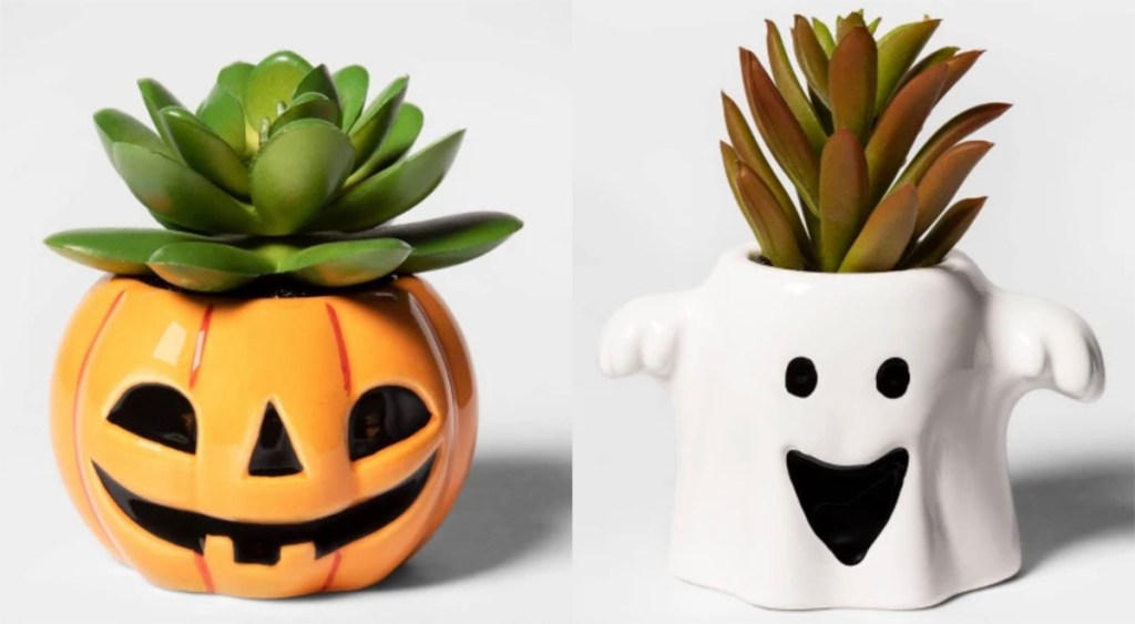 halloween succulents