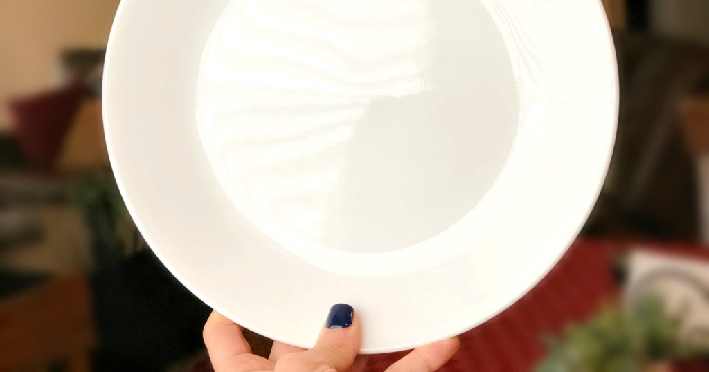 hand holding Corelle dinner plate