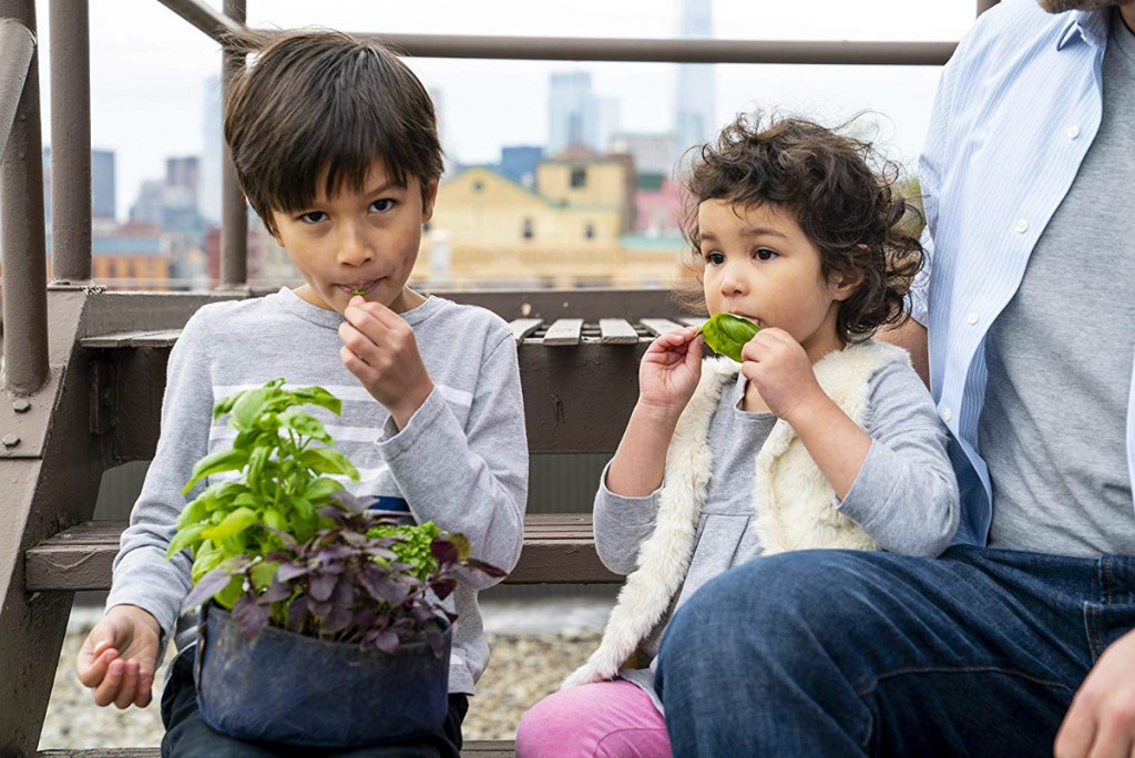 kids eating harvest from Seedsheet Gardening Kit