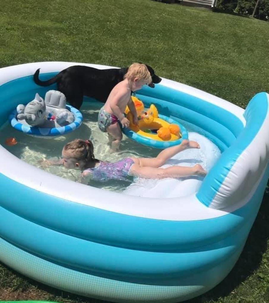 kids and dog playing in inflatable pool 