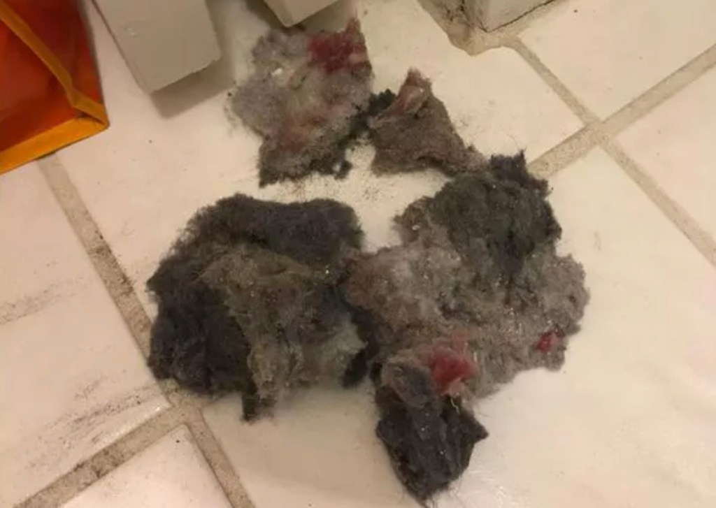 balls of lint laying on tile floor