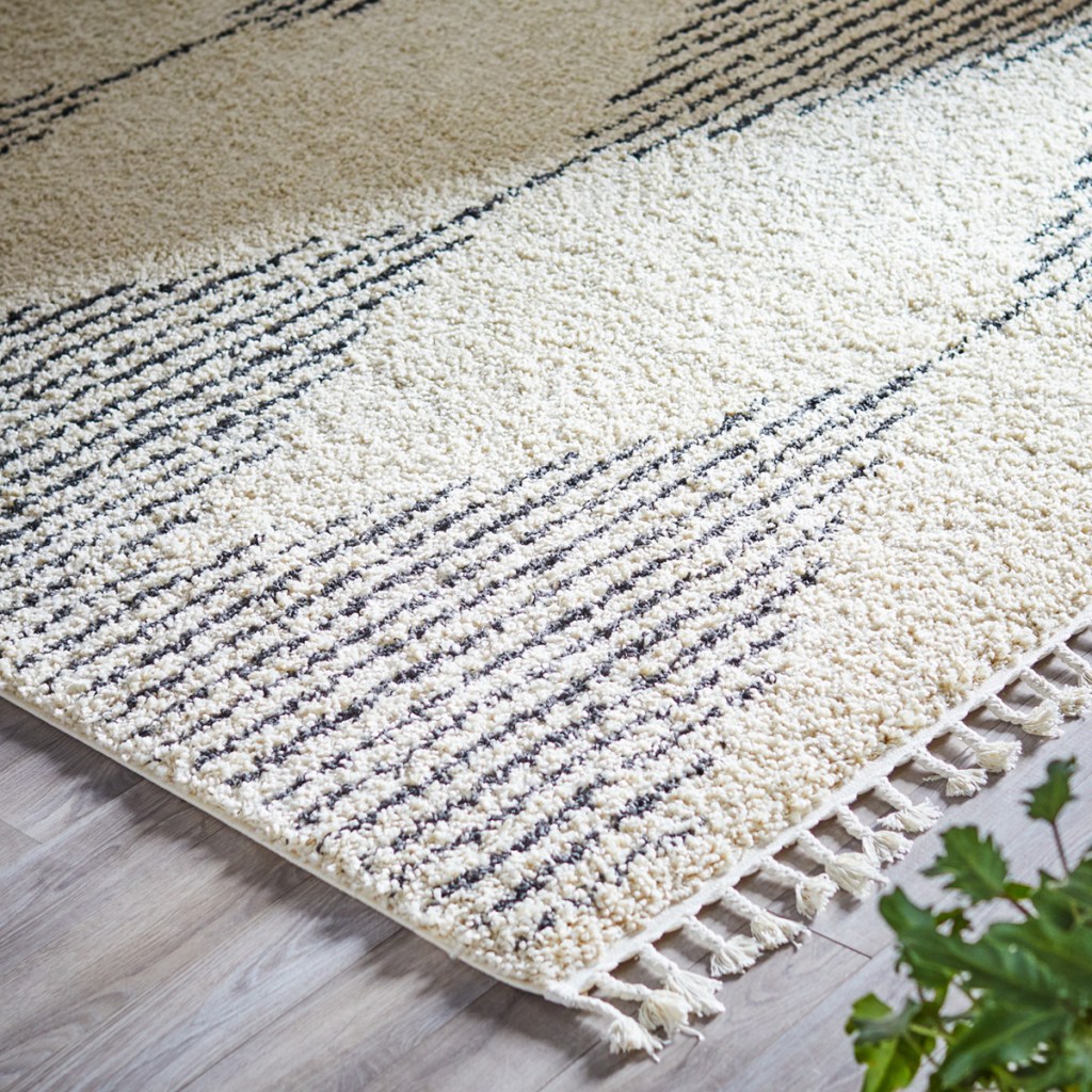 floor with modrn area rug