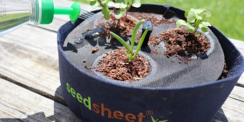 Grow Your Own Herbs Easily With This Seedsheet Gardening Kit – As Seen on Shark Tank