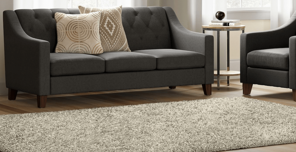 Shag rug in living room