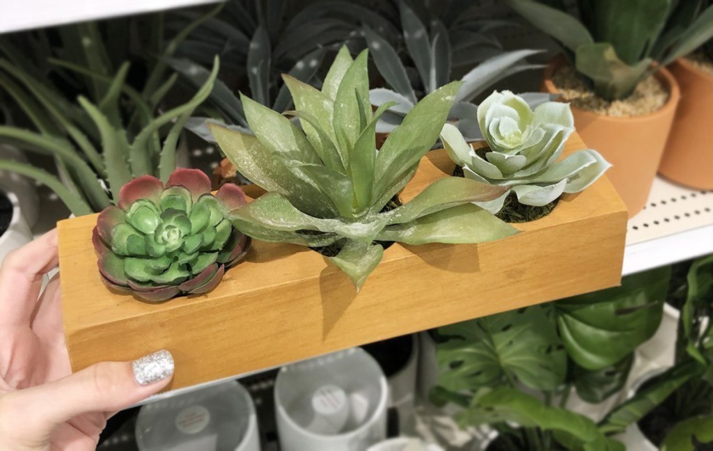 faux succulent trio in wooden plant at target
