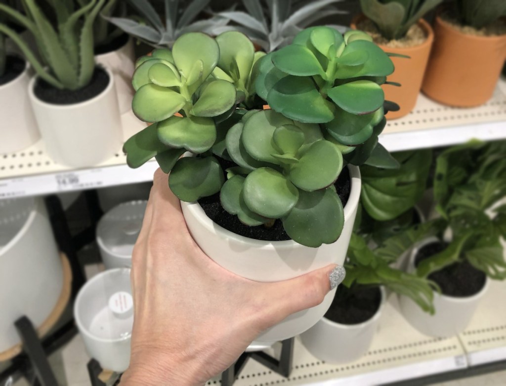 faux potted jade plant at target