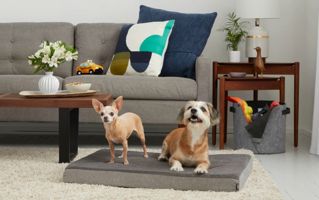 2 dogs laying on dog bed