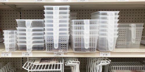 Ready to Organize Your Pantry? Watch for These Durable Clear Baskets with Handles at Big Lots