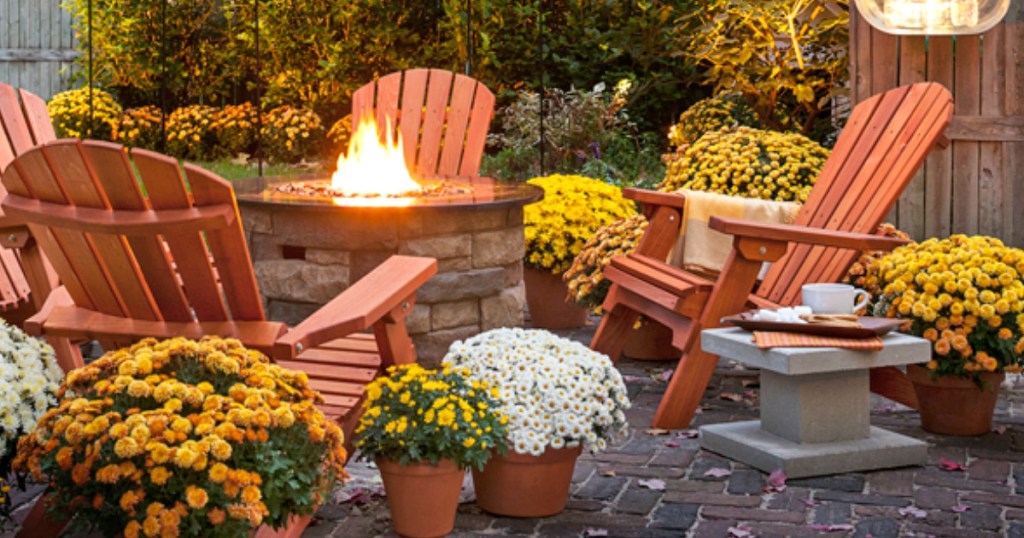 outdoor patio decked out with fall plants