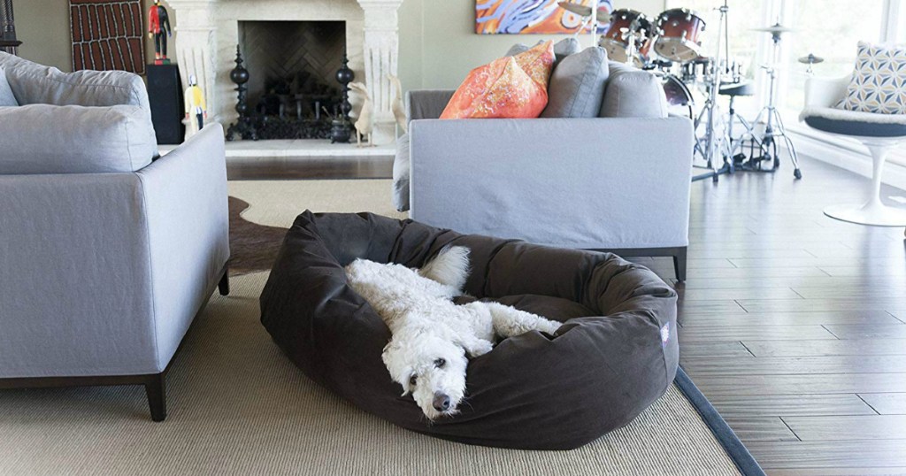 white dog laying on dog bed