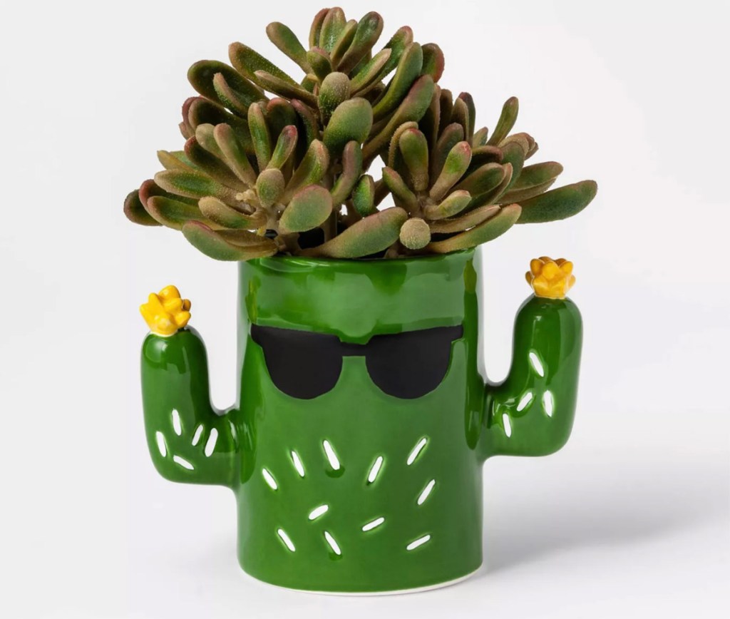cactus planter