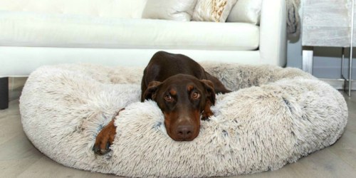 8 of the Most Popular & Best-Selling Dog Beds on Amazon Right Now
