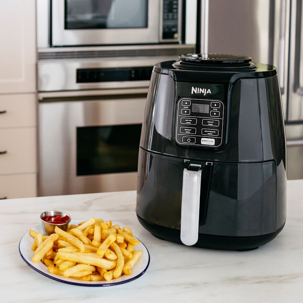 Ninja air fryer with a plate of french fries 