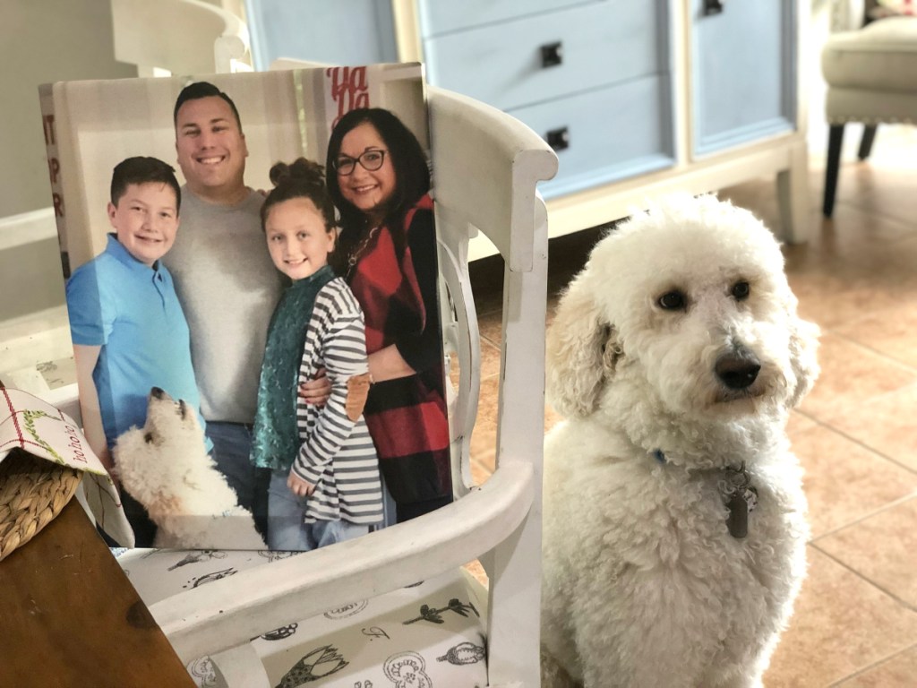 photo canvas on chair next to dog