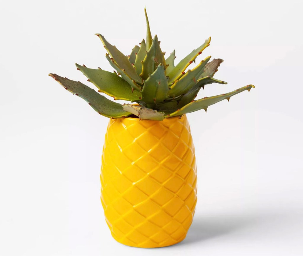 pineapple planter